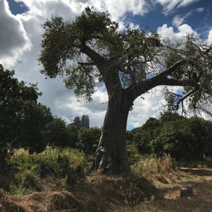 Voyage Au Mozambique Voyage au Mozambique de Patrice