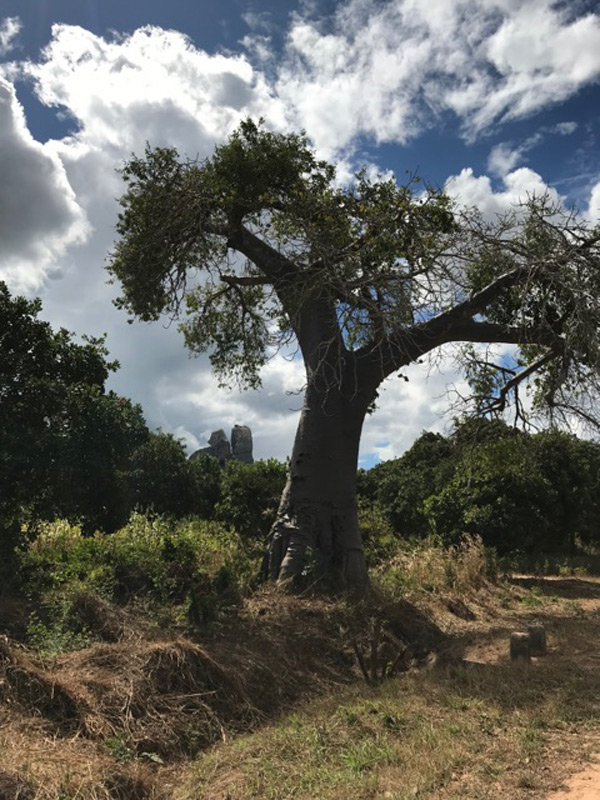 Voyage au Mozambique Voyage au Mozambique de Patrice