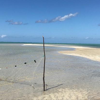 Voyage Au Mozambique Voyage au Mozambique de Patrice