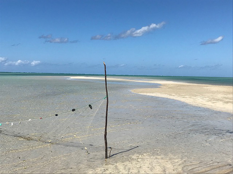 Voyage au Mozambique Voyage au Mozambique de Patrice