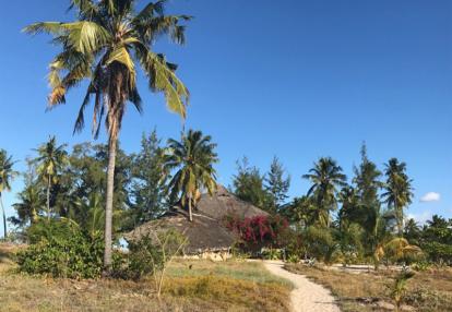 Voyage au Mozambique de Patrice