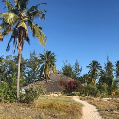 Voyage Au Mozambique Voyage au Mozambique de Patrice