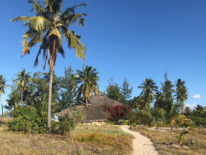 Voyage au Mozambique Voyage au Mozambique de Patrice