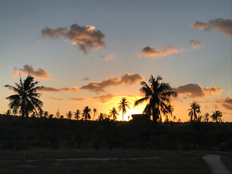 Voyage au Mozambique Voyage au Mozambique de Patrice