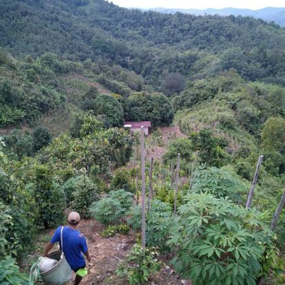 Voyage à Bornéo d'Yves