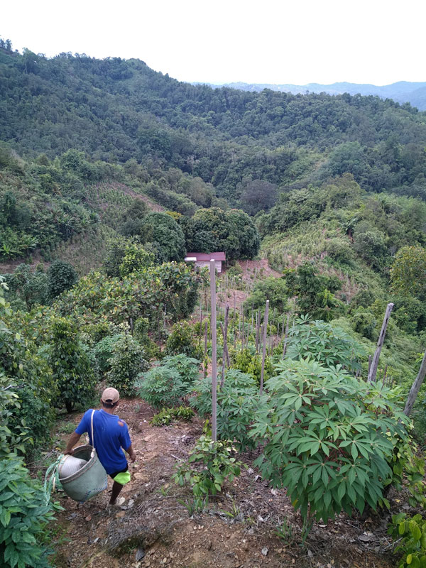 Voyage à Bornéo d'Yves