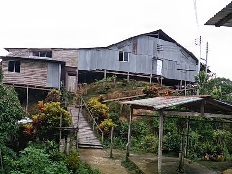 Voyage à Bornéo d'Yves