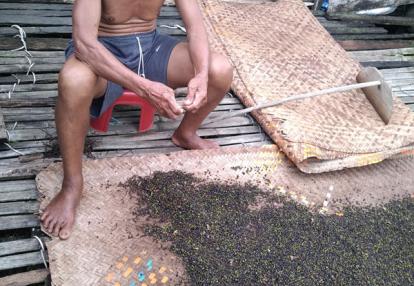 Voyage à Bornéo d'Yves