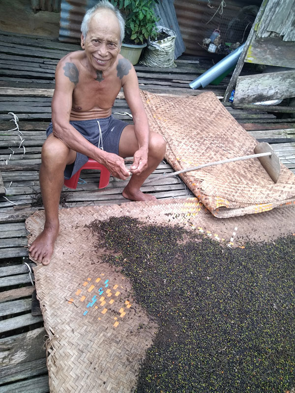 Voyage à Bornéo d'Yves