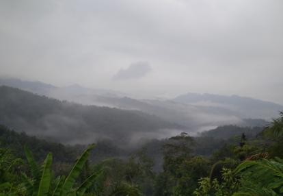 Voyage à Bornéo d'Yves