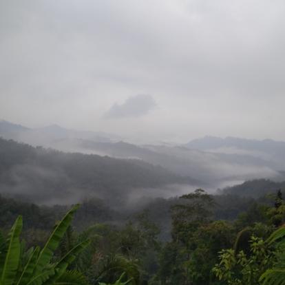 Voyage à Bornéo d'Yves