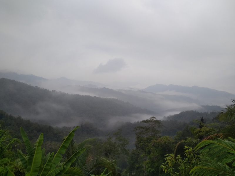 Voyage à Bornéo d'Yves