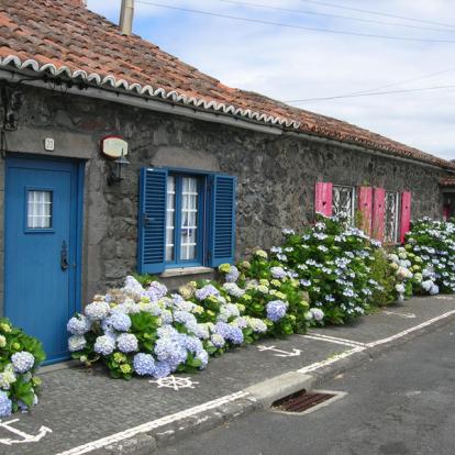 Voyage aux Açores de Chantal et François