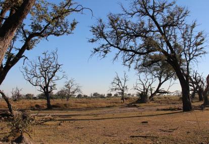 Voyage aux Botswana de la Famille de Bénédicte