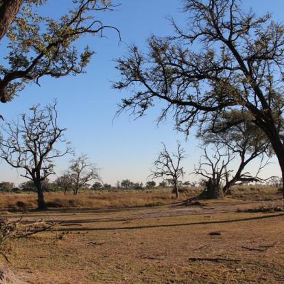 Voyage aux Botswana de la Famille de Bénédicte