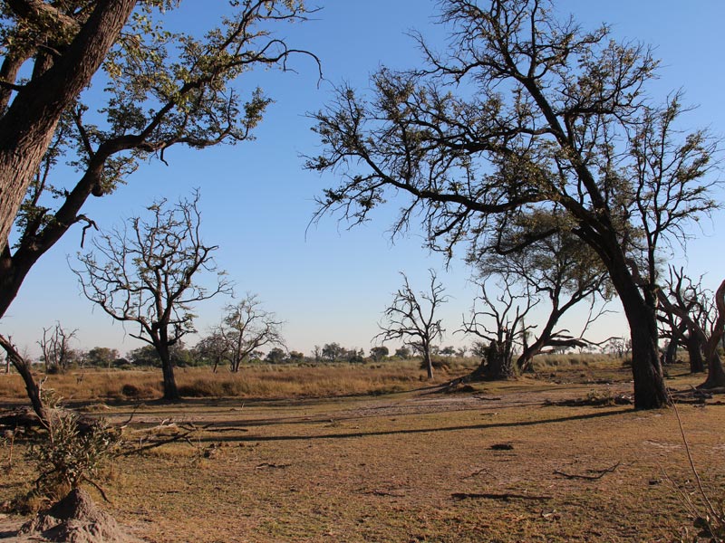 Voyage aux Botswana de la Famille de Bénédicte