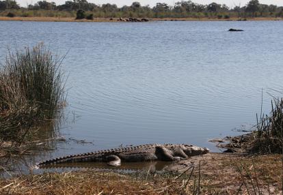 Voyage aux Botswana de la Famille de Bénédicte