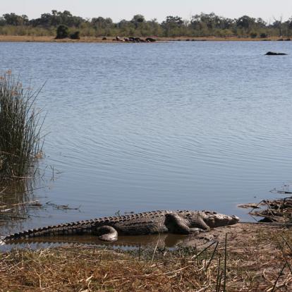 Voyage aux Botswana de la Famille de Bénédicte