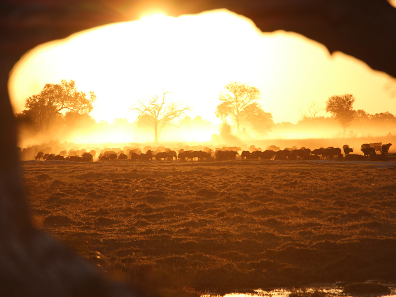 Voyage aux Botswana de la Famille de Bénédicte