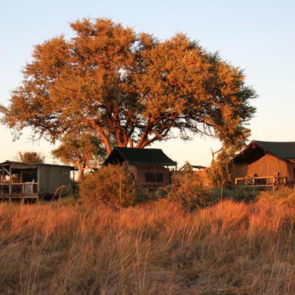 Voyage aux Botswana de la Famille de Bénédicte