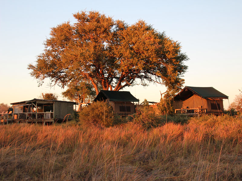 Voyage aux Botswana de la Famille de Bénédicte