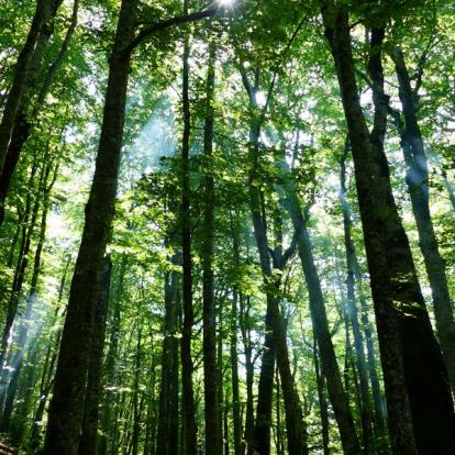 Voyage au Monténégro de Mireille et Chantal