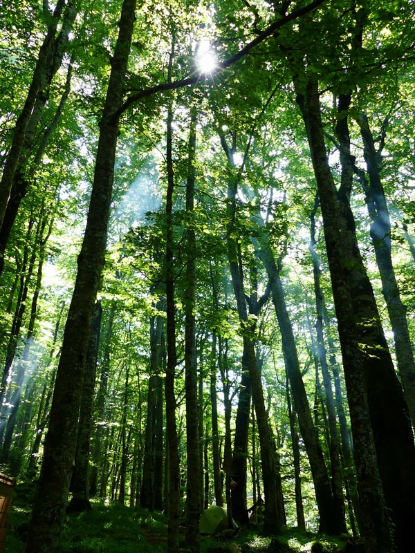 Voyage au Monténégro de Mireille et Chantal