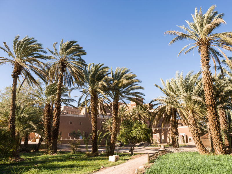Voyage au maroc de Dominique et Laurent