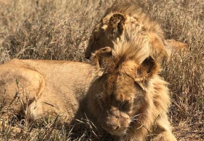 Voyage en Tanzanie de la famille de Jean-Marc