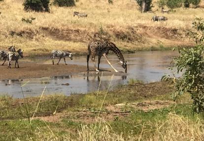 Voyage en Tanzanie de la famille de Jean-Marc