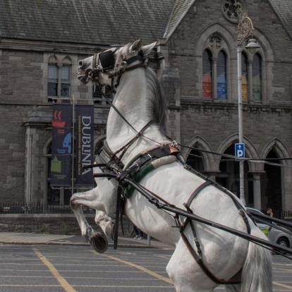Voyage en Irlande du Groupe d'Alain