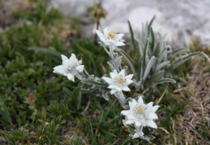 Voyage en Slovénie de Sandrine et Pierre