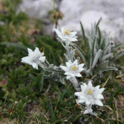 Voyage en Slovénie de Sandrine et Pierre