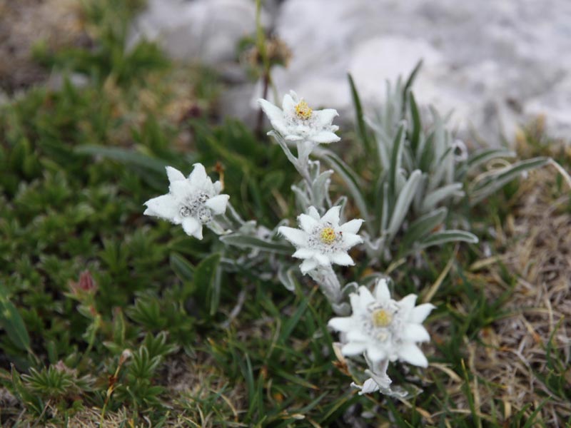 Voyage en Slovénie de Sandrine et Pierre