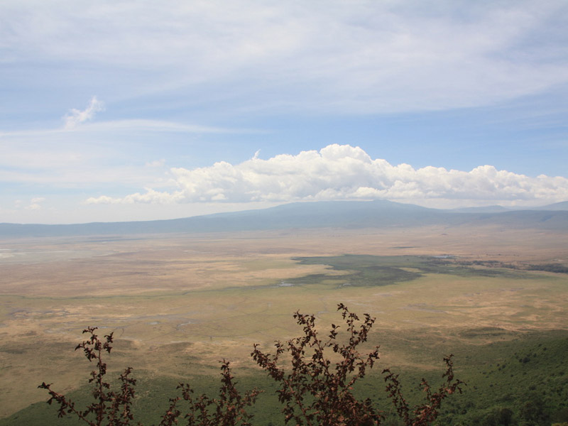 Voyage en Tanzanie de Dominique, Joelle, Madleen, Hugo et Arthur