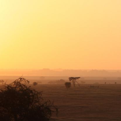Voyage en Tanzanie de Dominique, Joelle, Madleen, Hugo et Arthur