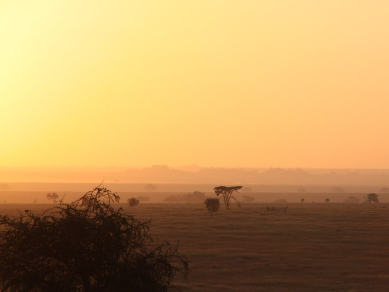 Voyage en Tanzanie de Dominique, Joelle, Madleen, Hugo et Arthur