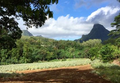 Voyage en Polynésie Française de Danièle