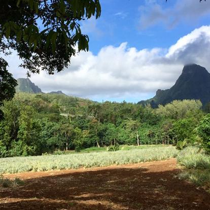 Voyage en Polynésie Française de Danièle