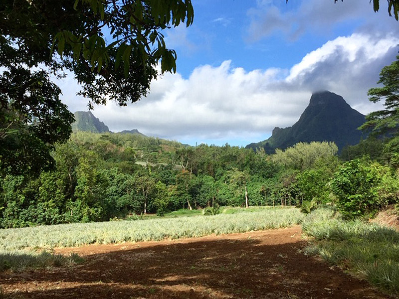 Voyage en Polynésie Française de Danièle