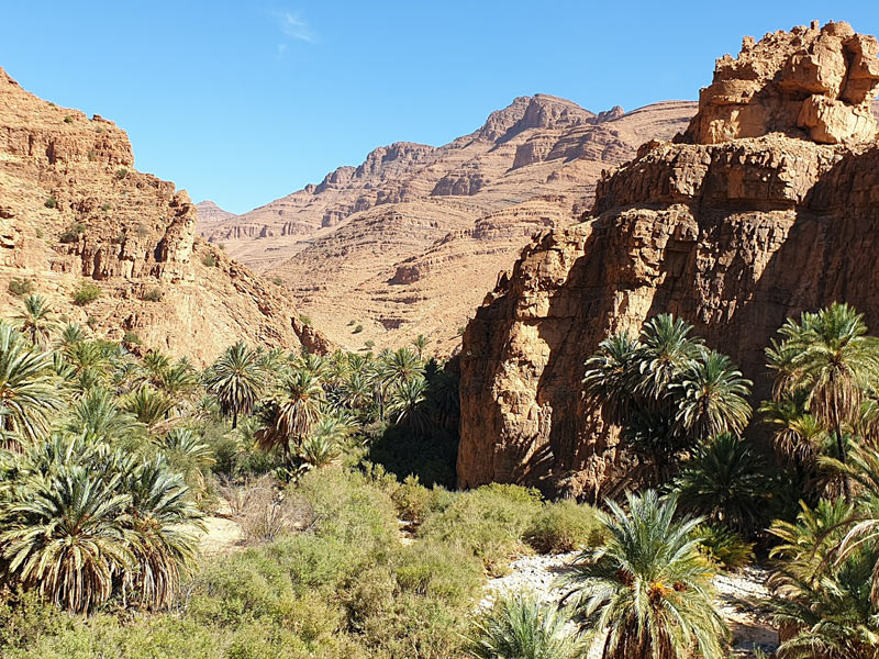 Voyage au Maroc de Mickaël
