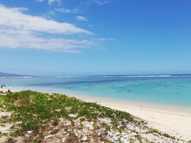 Voyage à l'Ile de la Réunion de Murielle