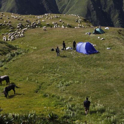 Voyage en Géorgie de la Famille C.