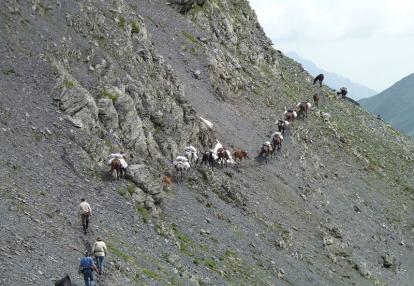 Voyage en Géorgie Voyage en Géorgie d'Hervé Hasse