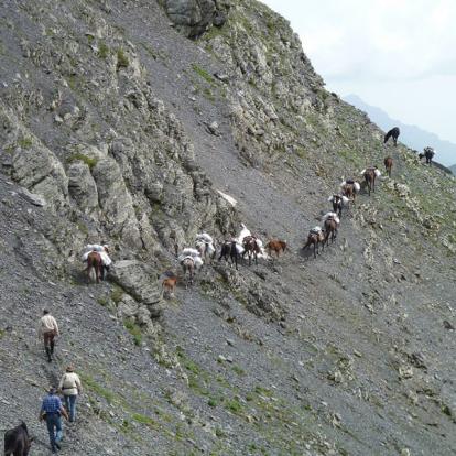 Voyage En Géorgie Voyage en Géorgie d'Hervé Hasse