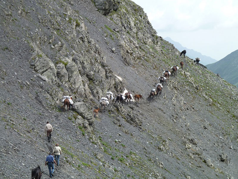Voyage en Géorgie Voyage en Géorgie d'Hervé Hasse