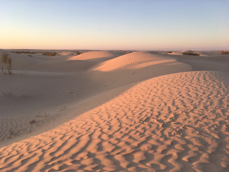 Voyage en Tunisie du Groupe d'Isabelle