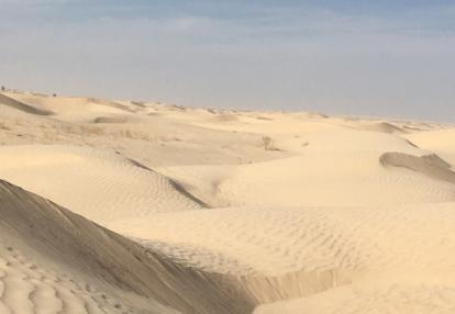 Voyage en Tunisie du Groupe d'Isabelle