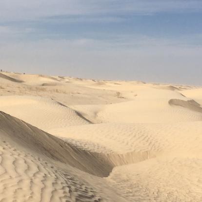 Voyage en Tunisie du Groupe d'Isabelle