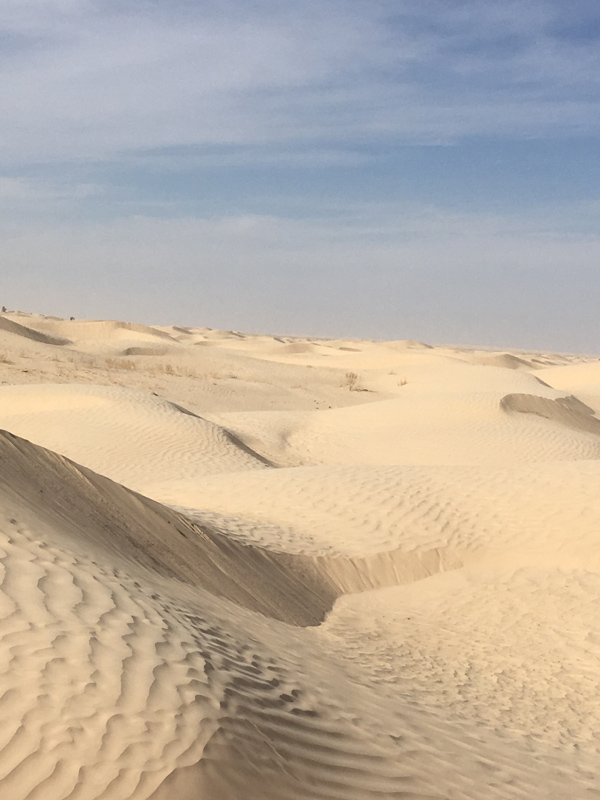 Voyage en Tunisie du Groupe d'Isabelle